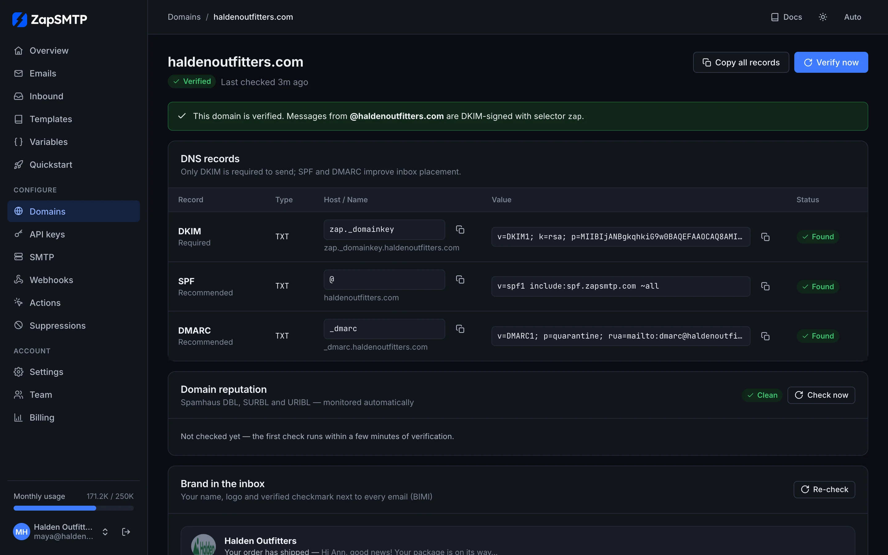 A verified domain with its DKIM, SPF and DMARC records, each marked Found, and a copy button for each value