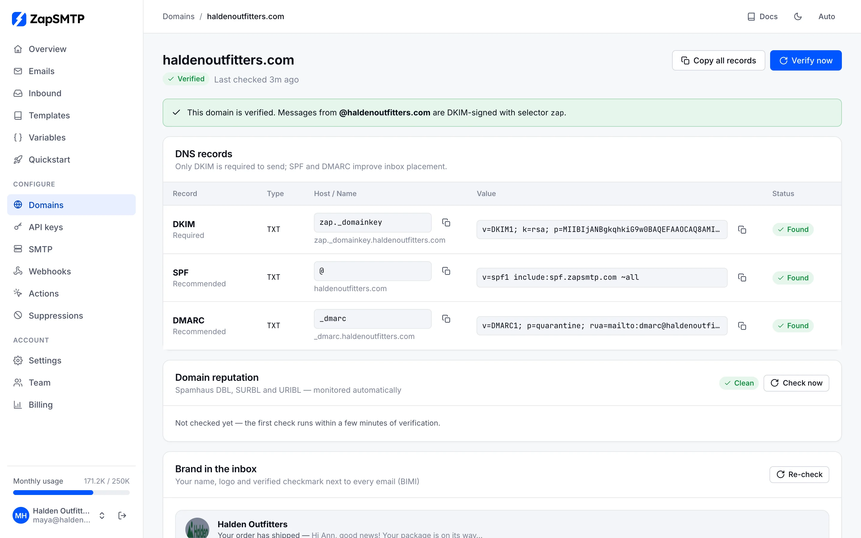 A verified domain with its DKIM, SPF and DMARC records, each marked Found, and a copy button for each value